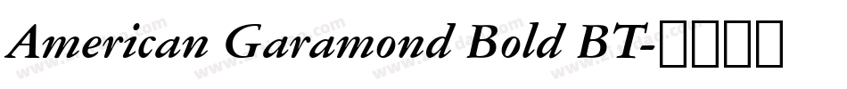 American Garamond Bold BT字体转换